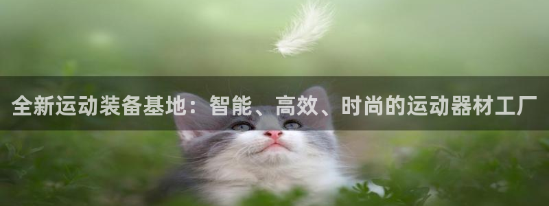 意昂4娱乐下载:全新运动装备基地:智能、高效、时尚的运动器材