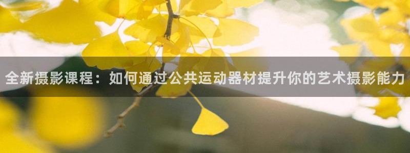 意昂4娱乐平台:全新摄影课程:如何通过公共运动器材提升你的艺