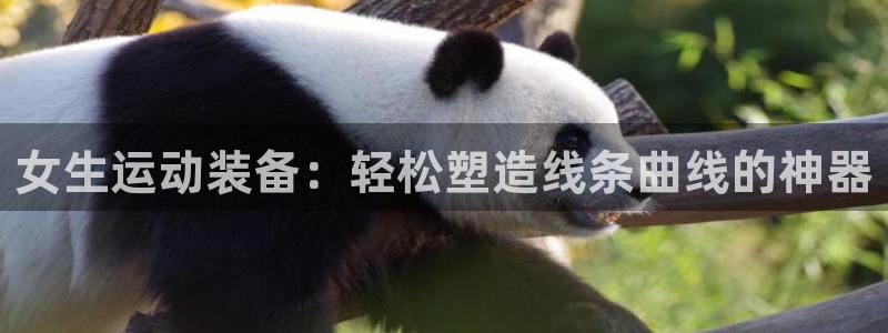 意昂4五金厂:女生运动装备:轻松塑造线条曲线的神器